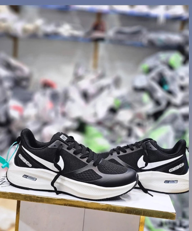 کفش رانینگ گاید guide 10 تولید ویتنام /سایز 40 الی 45/ nike guide 10 vietnam