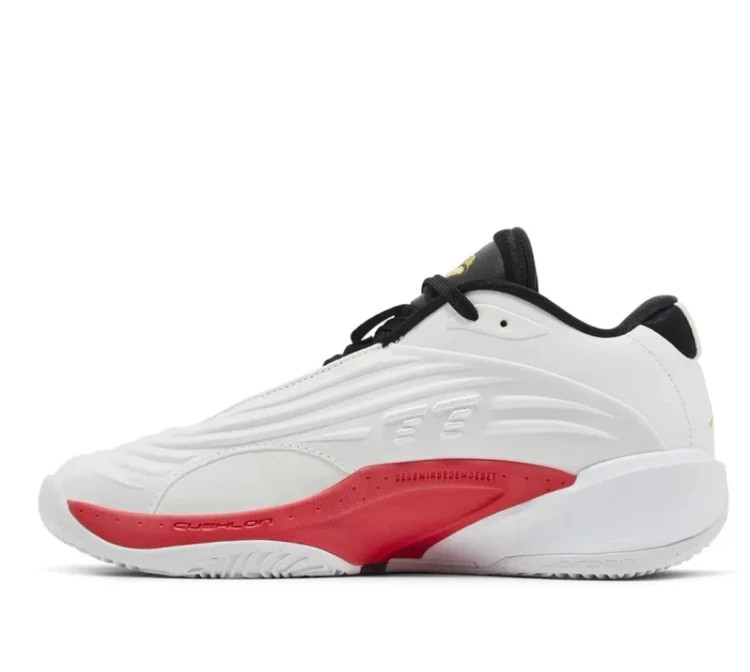 کتونی ایر جردن لوکا 3 ویتنامی/سایز 40 الی 45/رنگ بندی دارد/Air Jordan Luka 3