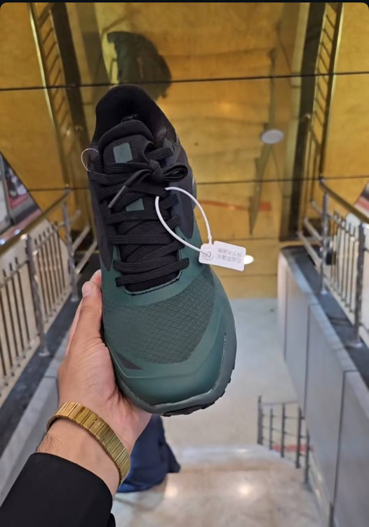 کتونی طبیعت گردی نورث فیس ضدآب/سایز 40 الی 45/NorthFace VECTIV Enduris II / فروش عمده و تک