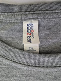تیشرت ورزشی مردانه اورجینال جرزیز (JERZEES) یقه گرد طرح BJJ رنگ طوسی ملانژ - استوک | سایز 2XL/3XL (عرض ۶۳ - قد ۷۳)